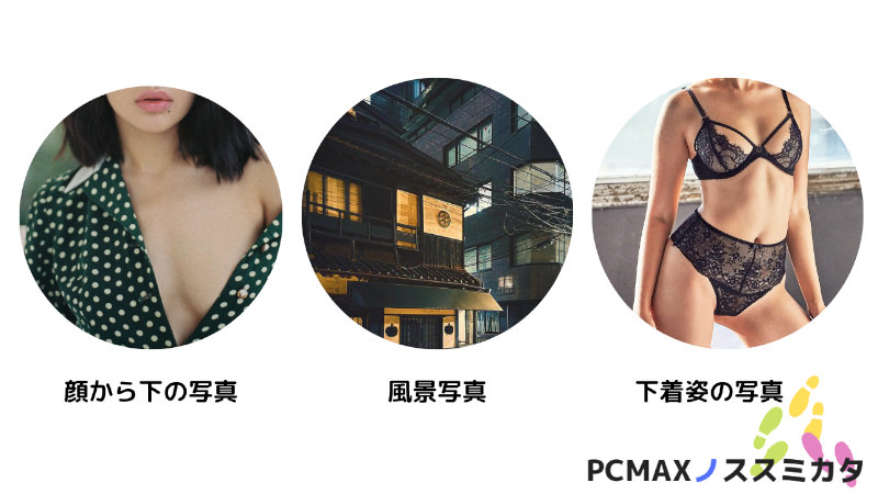 PCMAX プロフ写真